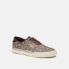 Coach Skate Lace Up Sneaker In Signature Jacquard In Brown