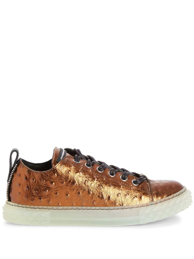 Giuseppe Zanotti Blabber Low-top Sneakers In Brown