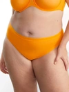 Curvy Couture Sheer Mesh Hi-cut Brief In Saffron