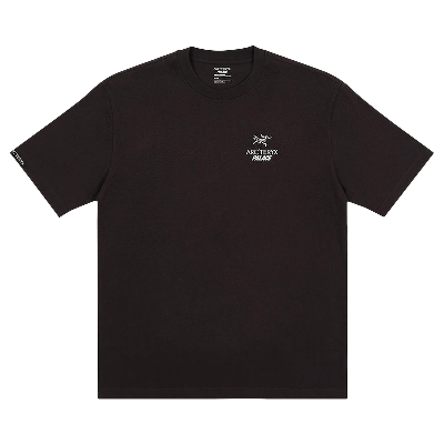 Pre-owned Palace X Arc'teryx T-shirt 'black'