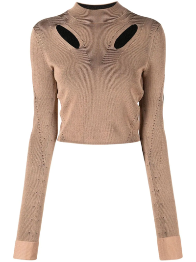 Dion Lee Cut-out Detail Long-sleeved Jumper In Braun
