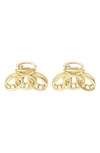 Ettika Assorted 2-pack Jaw Clips In Gold