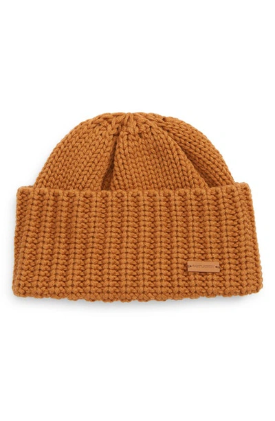 Saint Laurent Signature Cuffed Cashmere Beanie In Light Brown