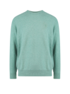 Polo Ralph Lauren Long Sleeve Sweater In Green