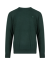 Polo Ralph Lauren Sweater In Green