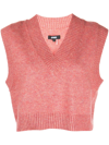 Apparis Ribbed-knit Vest Top In Berry