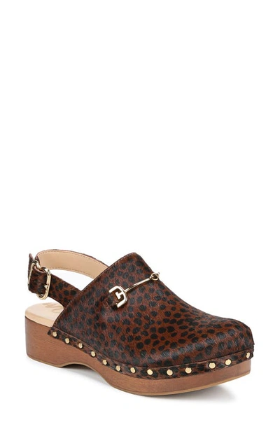 Sam Edelman Hilda Bit Platform Clog In Dark Brown