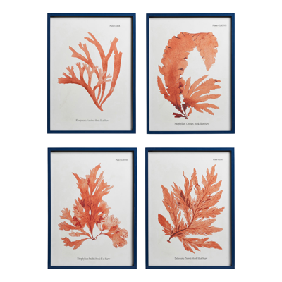 Oka Set Of Four Seaweed Prints - White/orange
