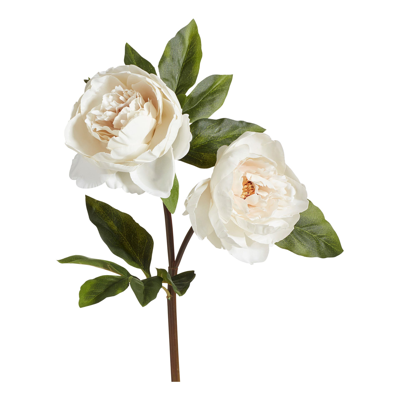 Oka Faux Double Peony Stem - White In Multi