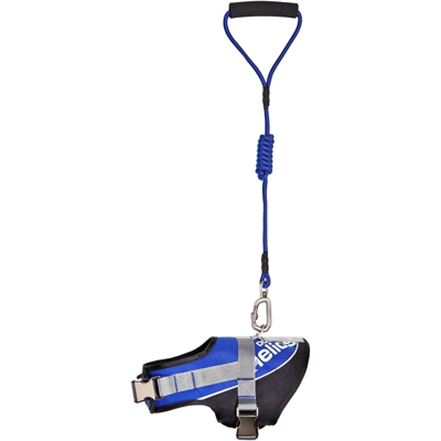 Dog Helios 'bark-mudder' 2-in-1 Reflective And Adjustable Sporty Dog Harness And Leash In Blue
