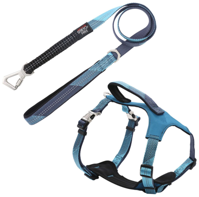 Pet Life 'geo-prene' 2-in-1 Shock Absorbing Neoprene Padded Reflective Dog Leash And Harness In Blue