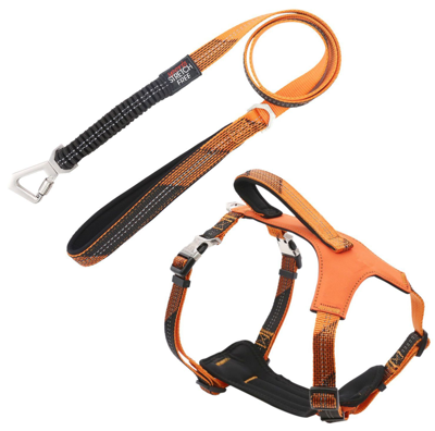 Pet Life 'geo-prene' 2-in-1 Shock Absorbing Neoprene Padded Reflective Dog Leash And Harness In Orange