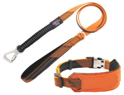 Pet Life 'geo-prene' 2-in-1 Shock Absorbing Neoprene Padded Reflective Dog Leash And Collar In Orange