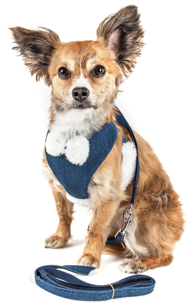 Pet Life Luxe 'pom Draper' 2-in-1 Adjustable Fashion Dog Harness And Leash In White
