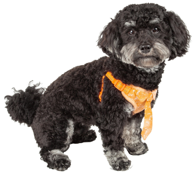 Pet Life 'bonatied' Mesh Reversed Adjustable Fashion Dog Harness W/ Designer Neck Tie In White