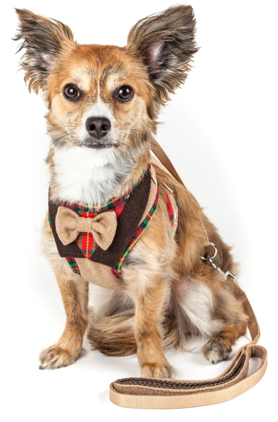 Pet Life Luxe 'dapperbone' 2-in-1 Adjustable Fashion Dog Harness And Leash In Beige