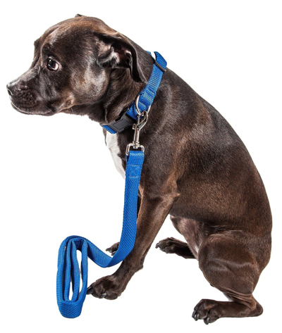 Pet Life 'aero Mesh' 2-in-1 Breathable And Adjustable Dual-sided Mesh Dog Leash And Collar In Blue