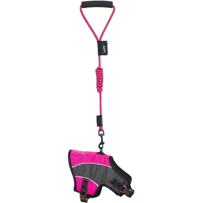 Touchdog 'reflective-max' 2-in-1 Performance Dog Harness And Leash In Pink