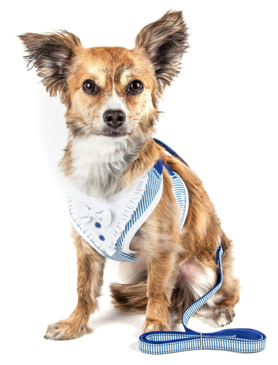 Pet Life Luxe 'spawling' 2-in-1 Adjustable Fashion Dog Harness And Leash In Blue