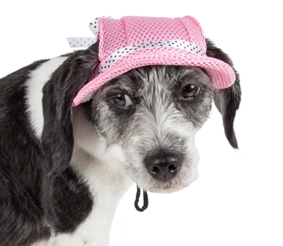 Pet Life 'sea Spot Sun' Uv Protectant Adjustable Fashion Mesh Brimmed Dog Hat Cap In Pink
