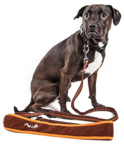 Pet Life 'free-fetcher' Hands Free Over-the-shoulder Shock Absorbent Dog Leash In Brown