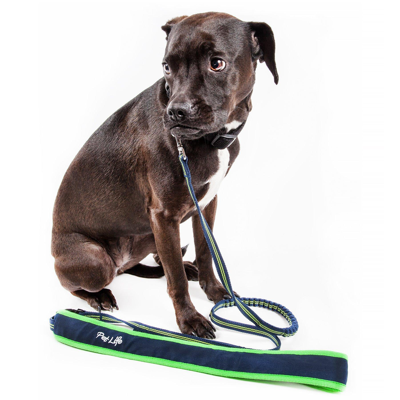 Pet Life 'free-fetcher' Hands Free Over-the-shoulder Shock Absorbent Dog Leash In Blue