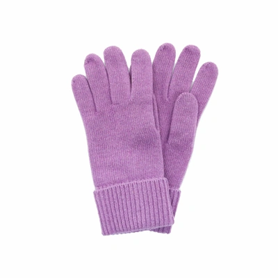 Portolano Cashmere Gloves In Purple