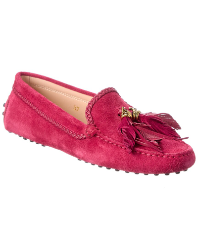 Tod's Tods Gommino Tassel Suede Loafer In Pink