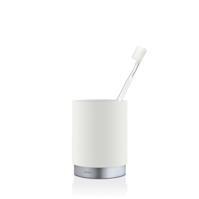 Blomus 68852 Stainless Steel Matt Ara Toothbrush Mug, White