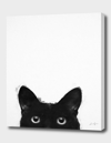 CURIOOS Are You Awake Yet?