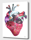 Curioos Superstar Heart In Pink