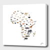 Curioos Wild Africa In White