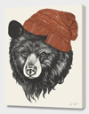 CURIOOS Zissou The Bear