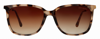 SUZY LEVIAN WOMEN'S BEIGE TORTOISE SQUARE LENS GOLD ACCENT SUNGLASSES