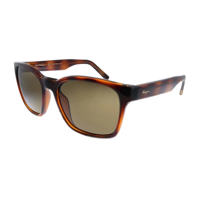 Ferragamo Salvatore   Sf 959s 214 55mm Unisex Square Sunglasses In Brown