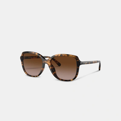 Coach Outlet Geometric Square Sunglasses In Brown
