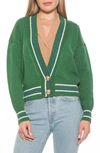 Alexia Admor Cathrine Knit Sweater In Green Multi