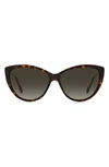 Jimmy Choo 60mm Cat Eye Sunglasses In Brown
