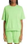 Bella Dona Terry Sweat Shorts In Neon Green