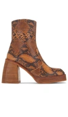 Free People Ruby Shine Platform Boot In Brown Snake