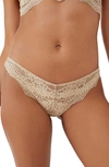 Free People Intimately Fp Maya Lace Bikini Cut Panties In Winter Wheat