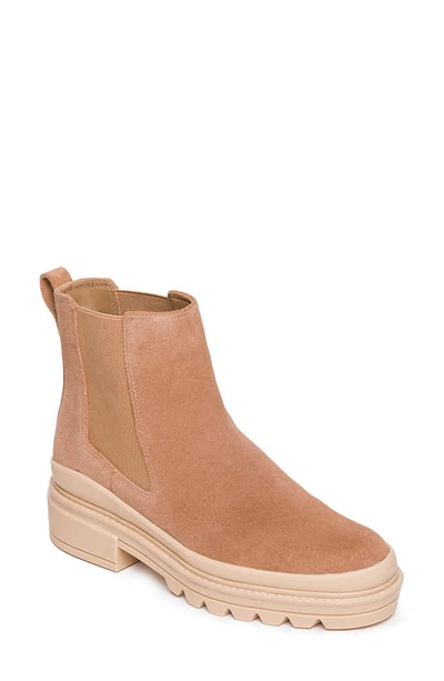 Bernardo Dove Suede Chelsea Ankle Booties In Nocolor