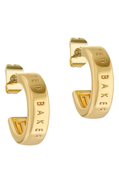 Ted Baker Helanna Nano Logo Huggie Hoop Earrings In Gold Tone