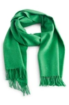 & Other Stories Fringe Wool Scarf In Green