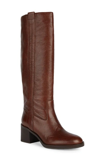 Geox Guilila Knee High Boot In Brown