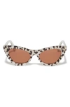 Lele Sadoughi Downtown Cat Eye Sunglasses In Leopard