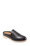 Softwalk Women's Wolcott Clog Women's Shoes In Black