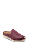 Softwalk Wolcott Ii Mule In Dark Cherry Nubuck