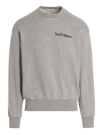 Aries Gray Mini Problemo Sweatshirt In Grey