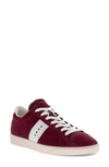 Ecco Street Lite Retro Sneaker In Morillo/ White